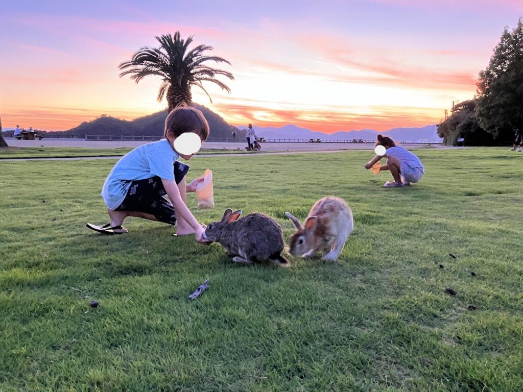 夕方子供達がうさぎに餌をあげている様子