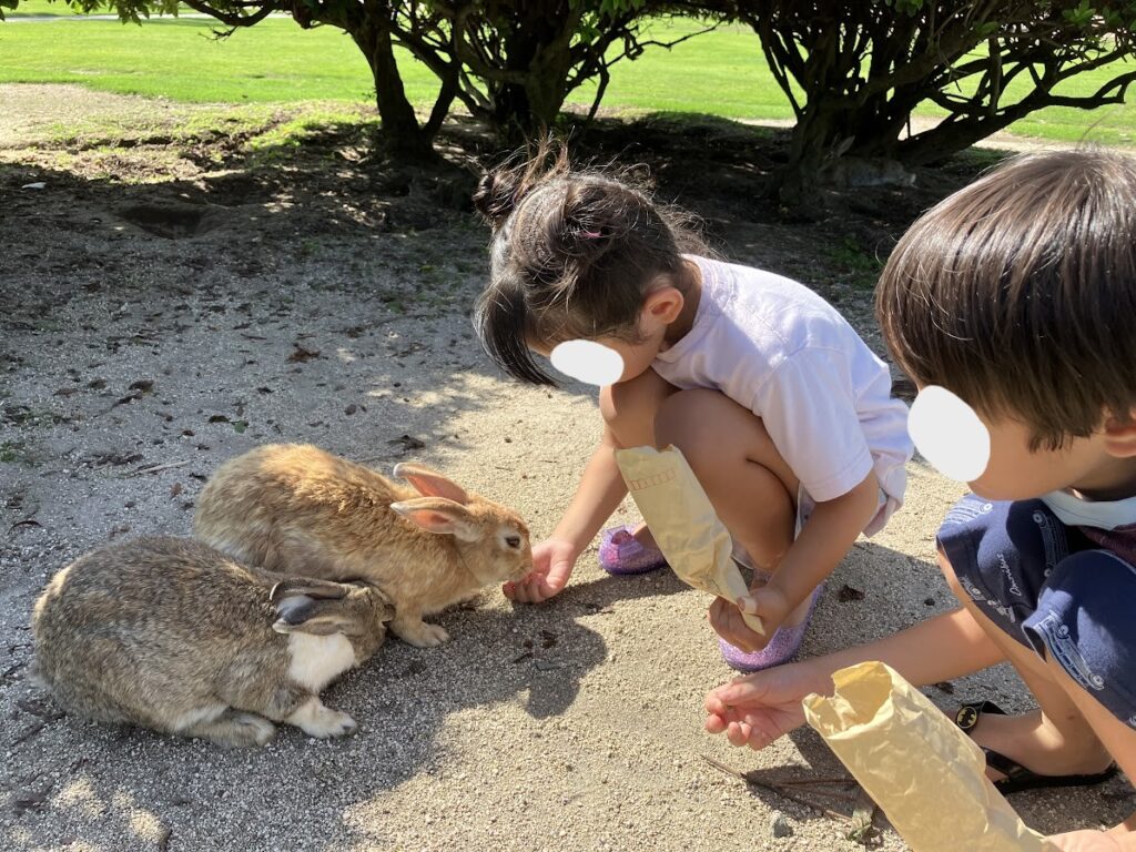 昼間子供達がうさぎに餌をあげている様子