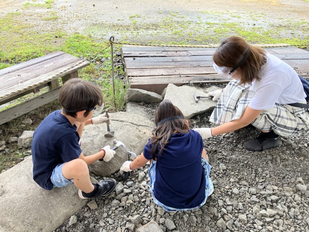 化石発掘を楽しむ子供達