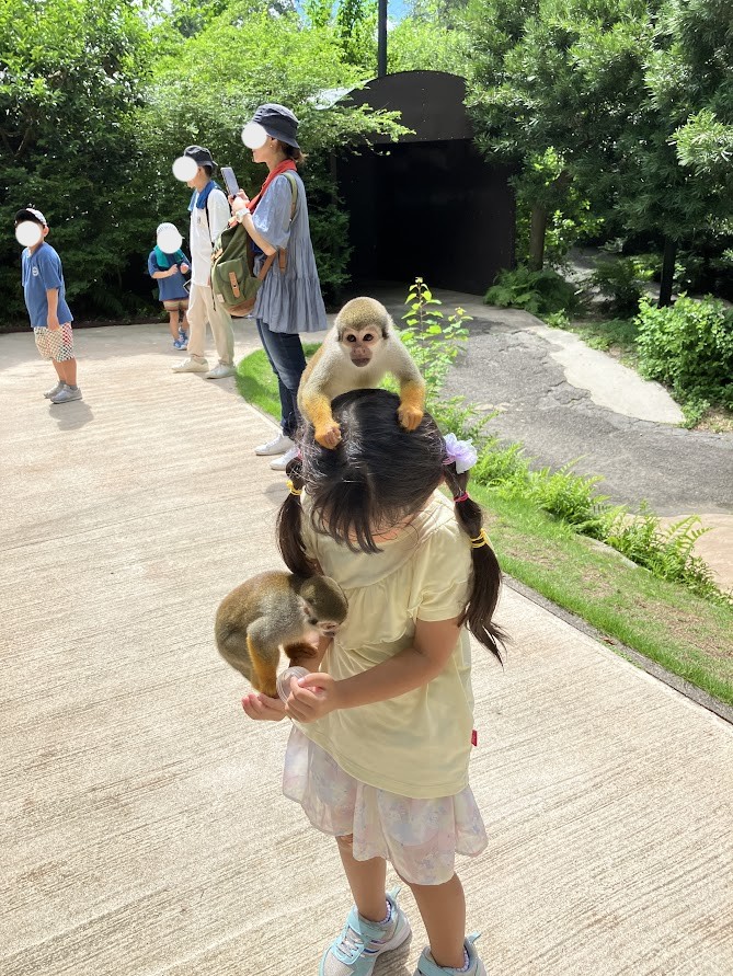 リスザルにエサやりをする子供