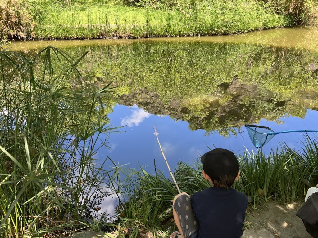 ザリガニ釣りをする子供